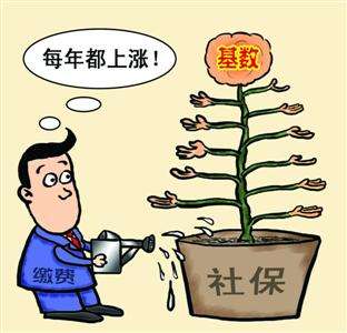 個(gè)人和單位繳納的社保，待遇會(huì)有什么區(qū)別？ 第1張