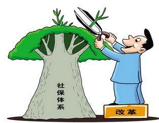 個人繳納社保和公司繳納的社保有何不同? 第1張 個人繳納社保和公司繳納的社保有何不同? 第1張