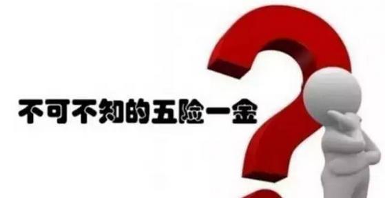 五險一金好還是社保好？ 第1張