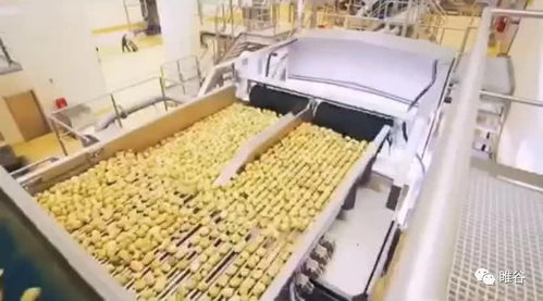佳盛企智深加工共享工廠 創新農產品生產模式，助力蔬菜產業升級